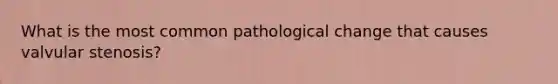 What is the most common pathological change that causes valvular stenosis?