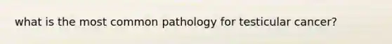 what is the most common pathology for testicular cancer?