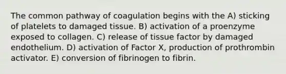 The common pathway of coagulation begins with the A) sticking of platelets to damaged tissue. B) activation of a proenzyme exposed to collagen. C) release of tissue factor by damaged endothelium. D) activation of Factor X, production of prothrombin activator. E) conversion of fibrinogen to fibrin.