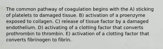 The common pathway of coagulation begins with the A) sticking of platelets to damaged tissue. B) activation of a proenzyme exposed to collagen. C) release of tissue factor by a damaged endothelium. D) activating of a clotting factor that converts prothrombin to thrombin. E) activation of a clotting factor that converts fibrinogen to fibrin.