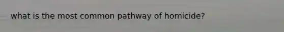 what is the most common pathway of homicide?