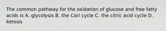 The common pathway for the oxidation of glucose and free fatty acids is A. glycolysis B. the Cori cycle C. the citric acid cycle D. ketosis