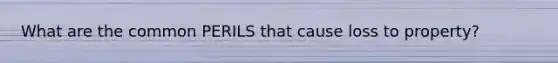 What are the common PERILS that cause loss to property?
