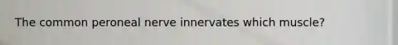 The common peroneal nerve innervates which muscle?