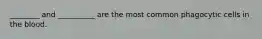 ________ and __________ are the most common phagocytic cells in the blood.