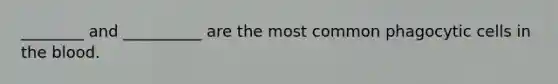 ________ and __________ are the most common phagocytic cells in <a href='https://www.questionai.com/knowledge/k7oXMfj7lk-the-blood' class='anchor-knowledge'>the blood</a>.