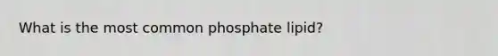 What is the most common phosphate lipid?