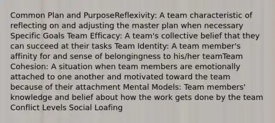 Common Plan and PurposeReflexivity: A team characteristic of reflecting on and adjusting the master plan when necessary Specific Goals Team Efficacy: A team's collective belief that they can succeed at their tasks Team Identity: A team member's affinity for and sense of belongingness to his/her teamTeam Cohesion: A situation when team members are emotionally attached to one another and motivated toward the team because of their attachment Mental Models: Team members' knowledge and belief about how the work gets done by the team Conflict Levels Social Loafing