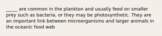 _____ are common in the plankton and usually feed on smaller prey such as bacteria, or they may be photosynthetic. They are an important link between microorganisms and larger animals in the oceanic food web