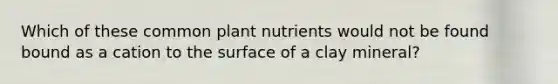 Which of these common plant nutrients would not be found bound as a cation to the surface of a clay mineral?