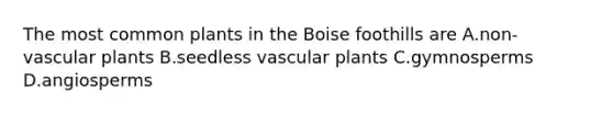 The most common plants in the Boise foothills are A.non-<a href='https://www.questionai.com/knowledge/kbaUXKuBoK-vascular-plants' class='anchor-knowledge'>vascular plants</a> B.seedless vascular plants C.gymnosperms D.angiosperms