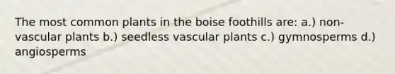 The most common plants in the boise foothills are: a.) non-vascular plants b.) seedless vascular plants c.) gymnosperms d.) angiosperms