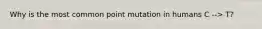 Why is the most common point mutation in humans C --> T?