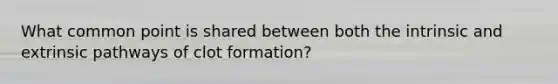 What common point is shared between both the intrinsic and extrinsic pathways of clot formation?