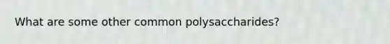 What are some other common polysaccharides?