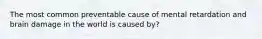 The most common preventable cause of mental retardation and brain damage in the world is caused by?