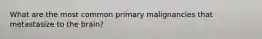 What are the most common primary malignancies that metastasize to the brain?