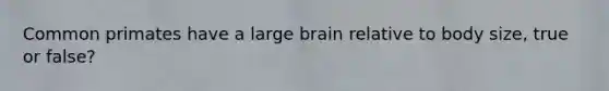 Common primates have a large brain relative to body size, true or false?