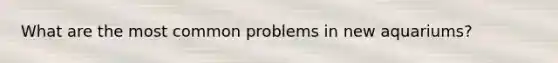 What are the most common problems in new aquariums?