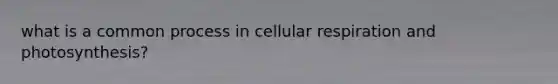 what is a common process in cellular respiration and photosynthesis?