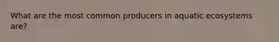 What are the most common producers in aquatic ecosystems are?