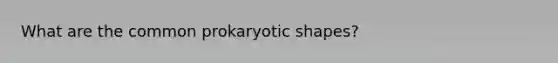 What are the common prokaryotic shapes?