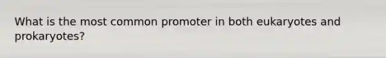 What is the most common promoter in both eukaryotes and prokaryotes?