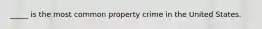 _____ is the most common property crime in the United States.