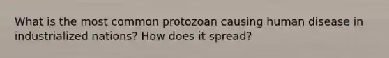 What is the most common protozoan causing human disease in industrialized nations? How does it spread?