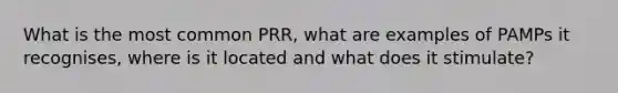 What is the most common PRR, what are examples of PAMPs it recognises, where is it located and what does it stimulate?