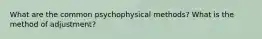 What are the common psychophysical methods? What is the method of adjustment?