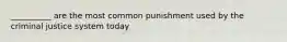 __________ are the most common punishment used by the criminal justice system today