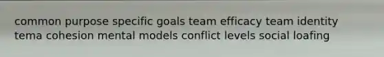 common purpose specific goals team efficacy team identity tema cohesion mental models conflict levels social loafing