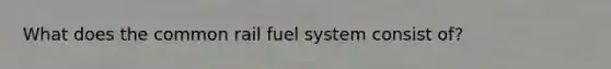 What does the common rail fuel system consist of?