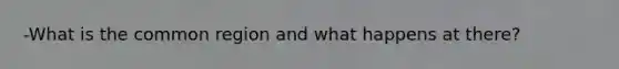 -What is the common region and what happens at there?