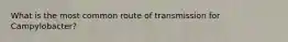 What is the most common route of transmission for Campylobacter?