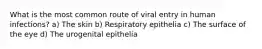 What is the most common route of viral entry in human infections? a) The skin b) Respiratory epithelia c) The surface of the eye d) The urogenital epithelia