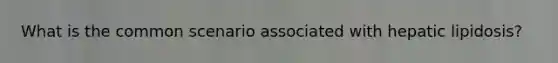 What is the common scenario associated with hepatic lipidosis?