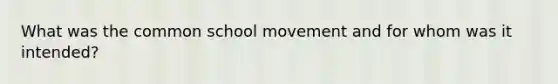 What was the common school movement and for whom was it intended?