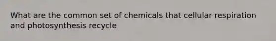 What are the common set of chemicals that <a href='https://www.questionai.com/knowledge/k1IqNYBAJw-cellular-respiration' class='anchor-knowledge'>cellular respiration</a> and photosynthesis recycle