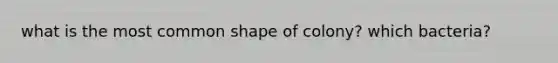 what is the most common shape of colony? which bacteria?