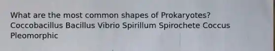 What are the most common shapes of Prokaryotes? Coccobacillus Bacillus Vibrio Spirillum Spirochete Coccus Pleomorphic