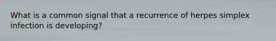 What is a common signal that a recurrence of herpes simplex infection is developing?