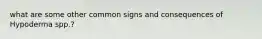 what are some other common signs and consequences of Hypoderma spp.?