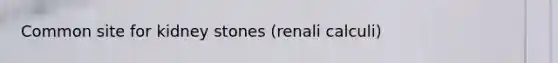 Common site for kidney stones (renali calculi)