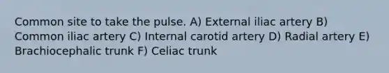 Common site to take the pulse. A) External iliac artery B) Common iliac artery C) Internal carotid artery D) Radial artery E) Brachiocephalic trunk F) Celiac trunk