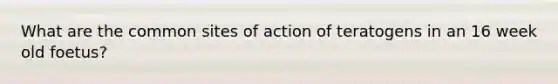 What are the common sites of action of teratogens in an 16 week old foetus?