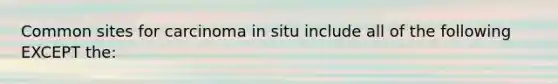 Common sites for carcinoma in situ include all of the following EXCEPT the: