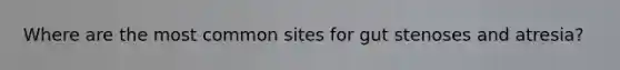 Where are the most common sites for gut stenoses and atresia?
