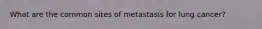 What are the common sites of metastasis for lung cancer?